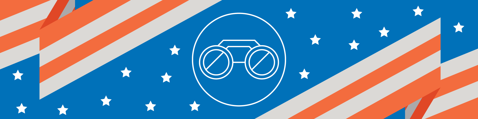 Vulnerability Management in Government: Visibility Plus Context image